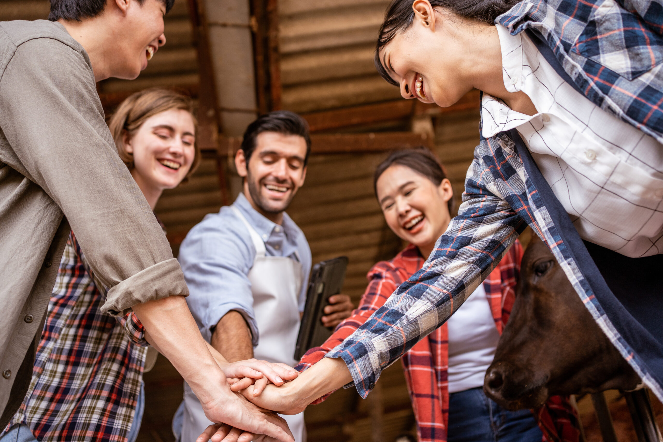 How to make your content discoverable